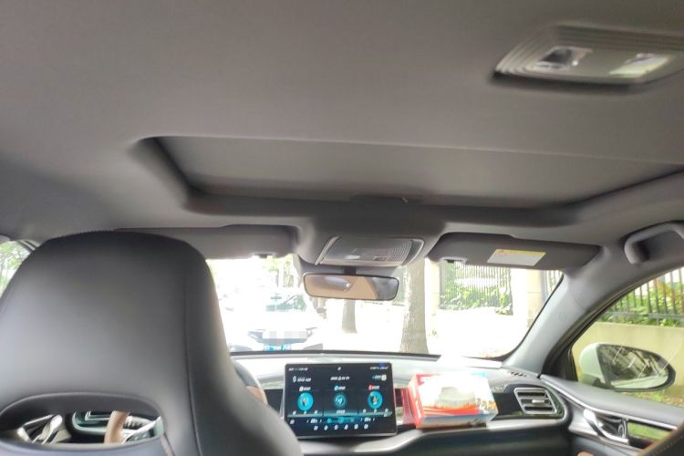 Used BYD Qin PLUS 2021 EV 600KM Flagship Model Headliner