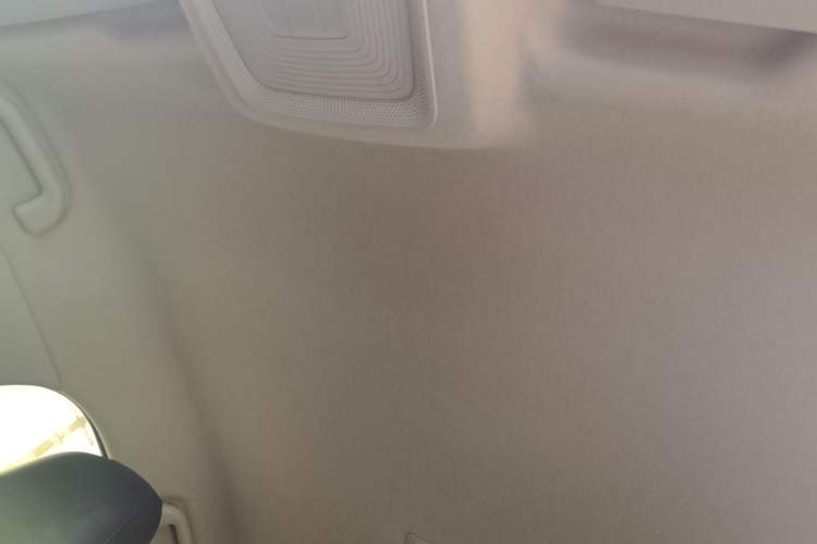 Used BYD Qin PLUS 2021 EV 400KM Leading Comfort Edition Headliner