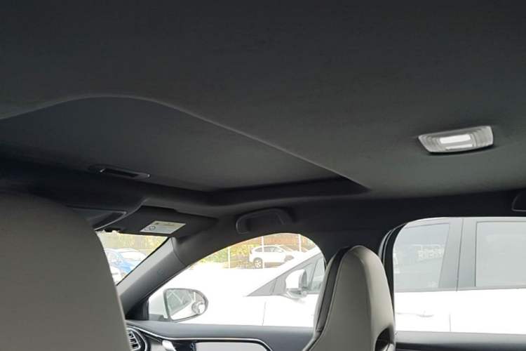 Used BYD Qin PLUS 2021 EV 500KM Luxury Model Headliner