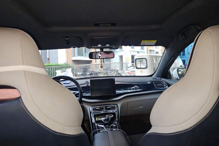 Used BYD Qin PLUS 2021 EV 500KM Luxury Model Headliner