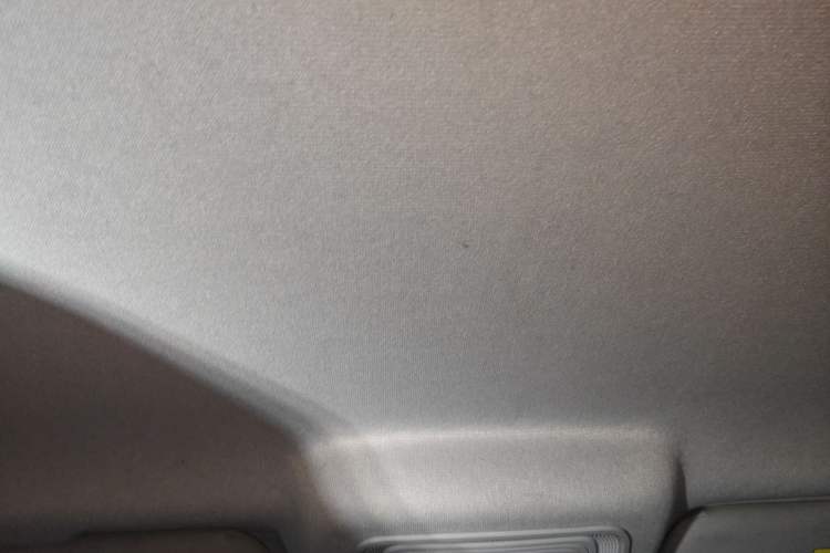 Used BYD Qin PLUS 2021 EV 400KM Leading Comfort Edition Headliner
