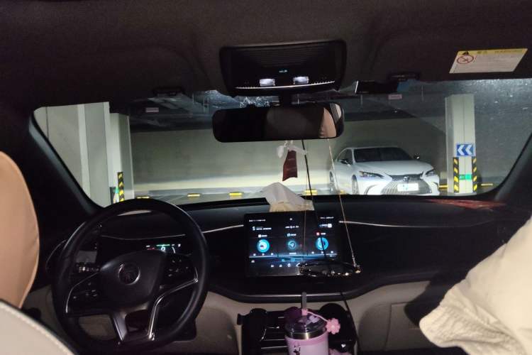 Used BYD Qin PLUS 2021 EV 500KM Luxury Model Headliner