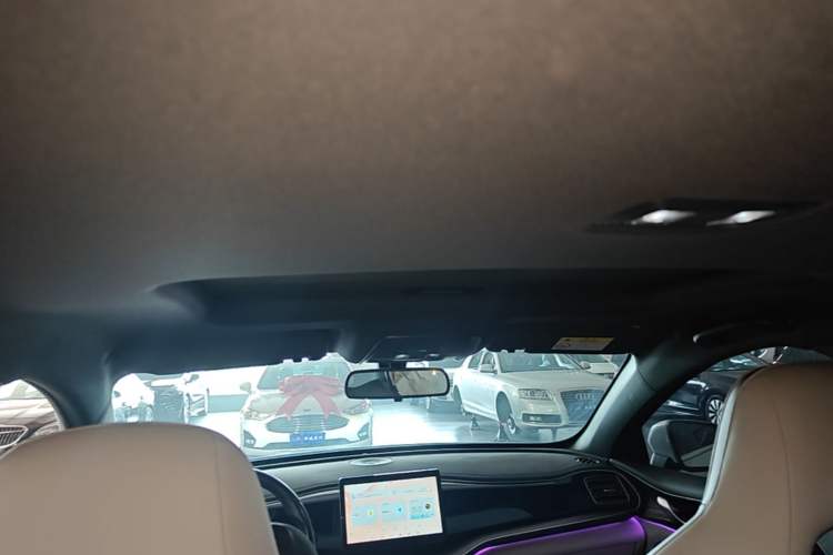 Used BYD Qin PLUS 2021 DM-i 120KM Prestige Model Headliner