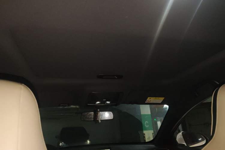 Used BYD Qin PLUS 2021 EV 500KM Luxury Model Headliner