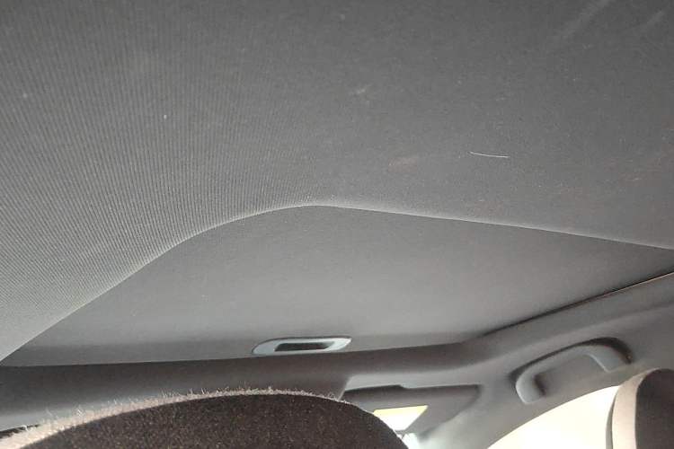 Used BYD Qin PLUS 2021 EV 500KM Premium Model Headliner