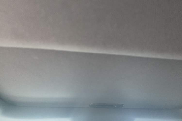 Used BYD Qin PLUS 2021 EV 500KM Luxury Model Headliner