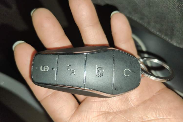 Used BYD Qin PLUS 2021 DM-i 120KM Prestige Model Interior 1