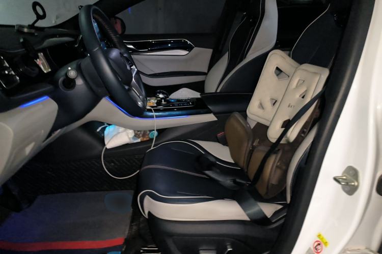 Used BYD Qin PLUS 2021 EV 600KM Flagship Model Left Front Seat