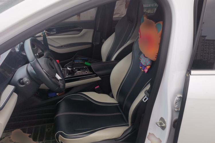 Used BYD Qin PLUS 2021 DM-i 55KM Flagship Model Left Front Seat