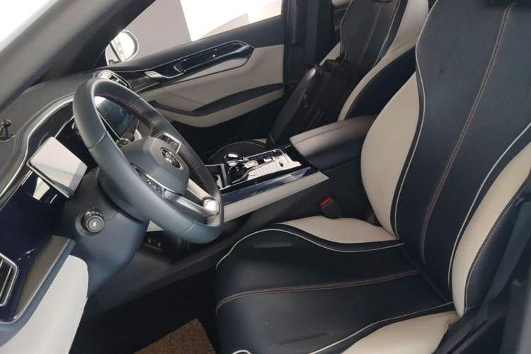 Used BYD Qin PLUS 2021 DM-i 55KM Flagship Model Left Front Seat