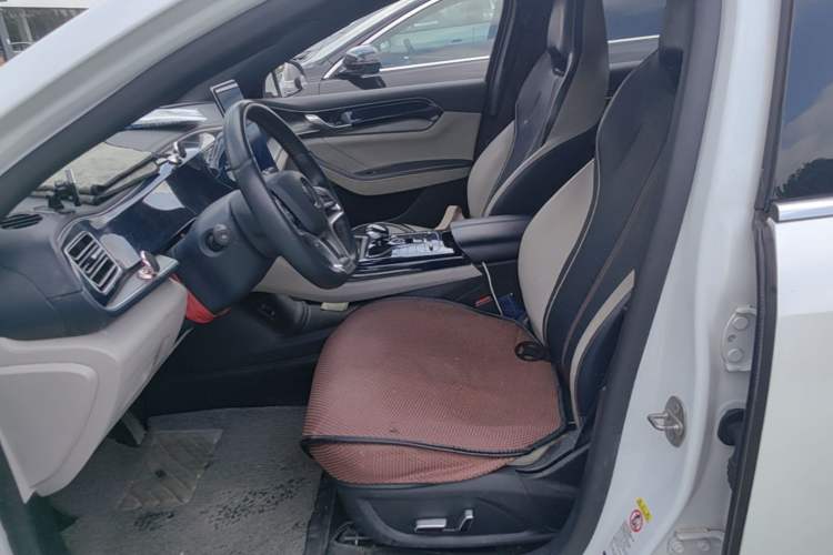 Used BYD Qin PLUS 2021 EV 500KM Premium Model Left Front Seat