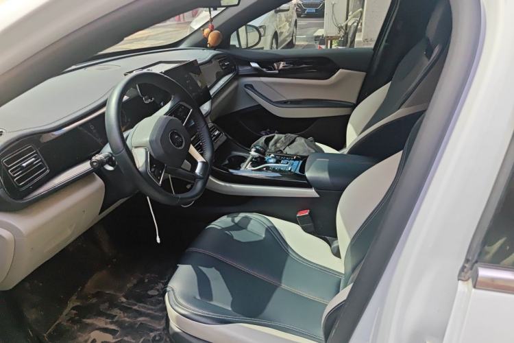 Used BYD Qin PLUS 2021 DM-i 55KM Prestige Model Left Front Seat