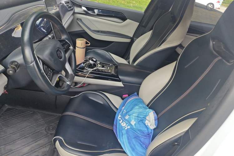 Used BYD Qin PLUS 2021 EV 500KM Luxury Model Left Front Seat