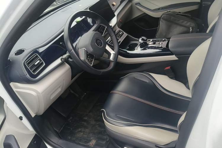 Used BYD Qin PLUS 2021 DM-i 55KM Flagship Model Left Front Seat