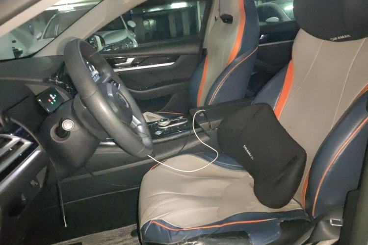 Used BYD Qin PLUS 2021 EV 400KM Leading Comfort Edition Left Front Seat