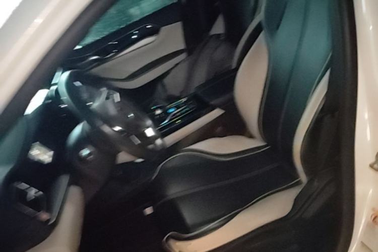 Used BYD Qin PLUS 2021 DM-i 120KM Prestige Model Left Front Seat