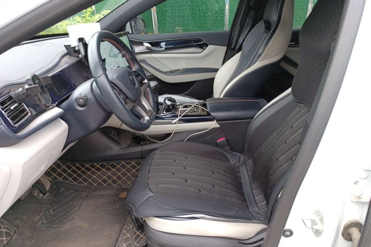 Used BYD Qin PLUS 2021 DM-i 120KM Prestige Model Left Front Seat