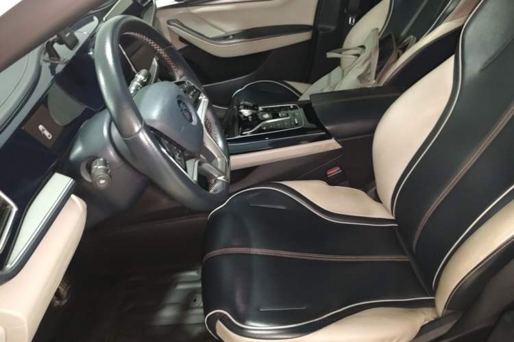 Used BYD Qin PLUS 2021 EV 500KM Luxury Model Left Front Seat