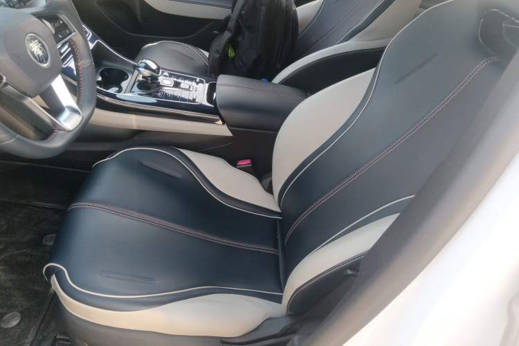 Used BYD Qin PLUS 2021 DM-i 55KM Flagship Model Left Front Seat