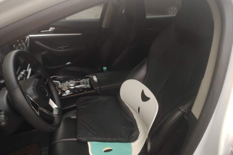 Used BYD Qin PLUS 2021 EV 400KM Leading Comfort Edition Left Front Seat