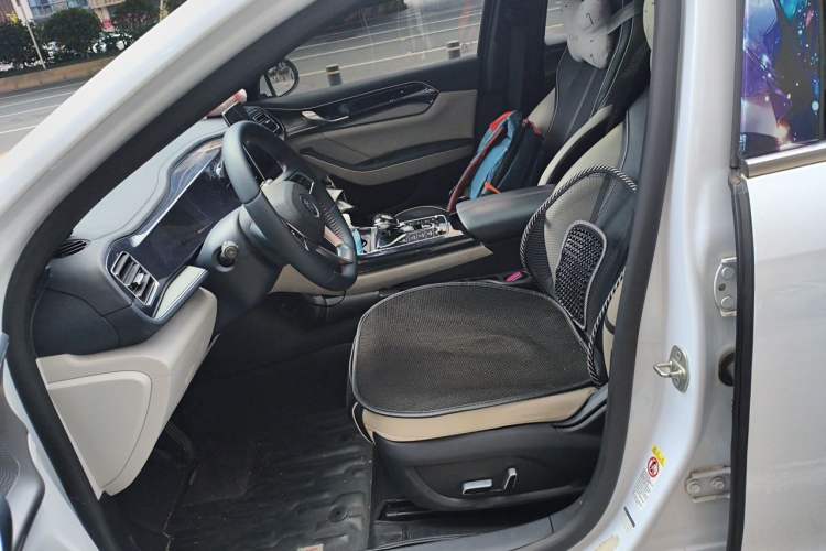 Used BYD Qin PLUS 2021 DM-i 55KM Flagship Model Left Front Seat