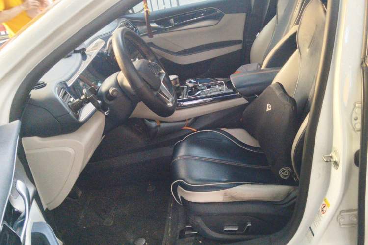 Used BYD Qin PLUS 2021 EV 500KM Luxury Model Left Front Seat