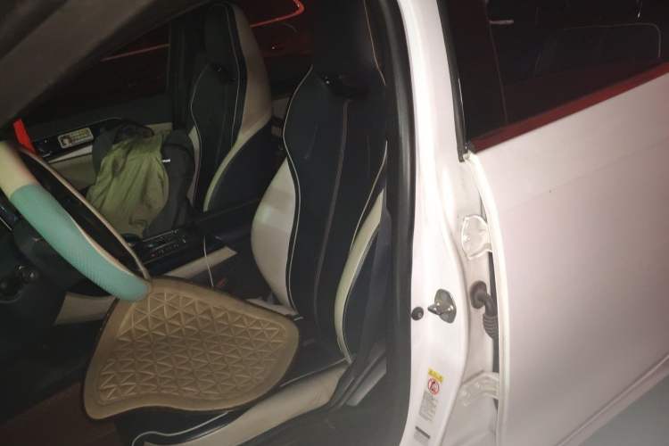 Used BYD Qin PLUS 2021 DM-i 120KM Prestige Model Left Front Seat