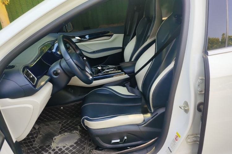 Used BYD Qin PLUS 2021 EV 500KM Luxury Model Left Front Seat