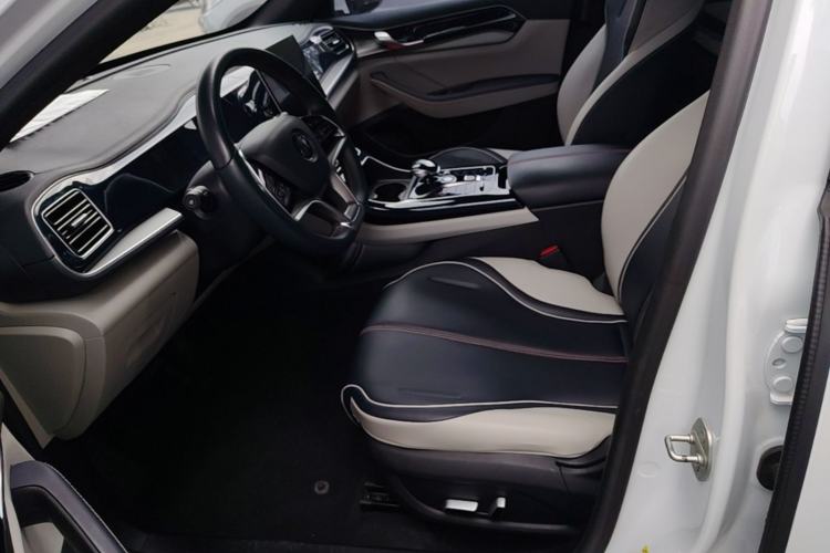 Used BYD Qin PLUS 2021 EV 500KM Luxury Model Left Front Seat