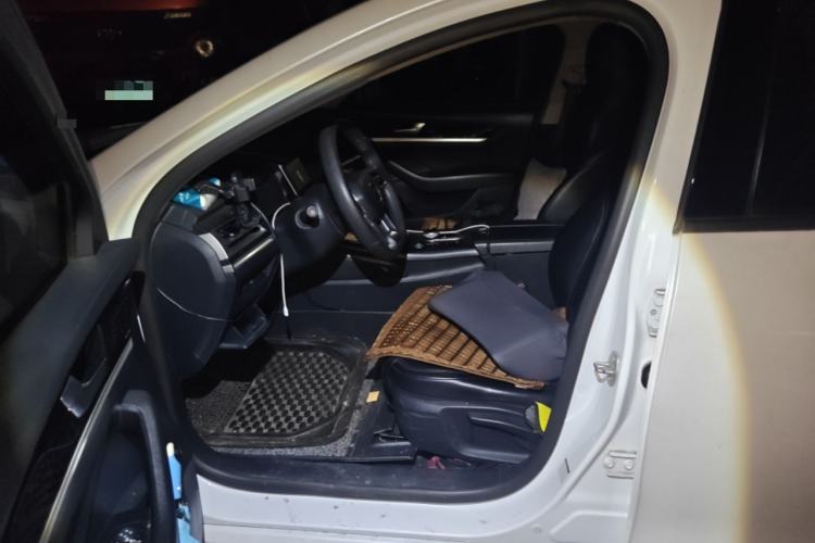 Used BYD Qin PLUS 2021 EV 400KM Leading Comfort Edition Left Front Seat