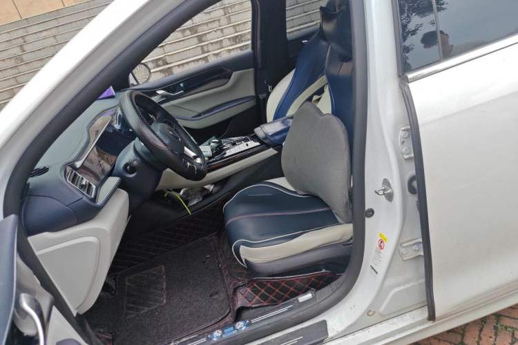 Used BYD Qin PLUS 2021 DM-i 55KM Flagship Model Left Front Seat