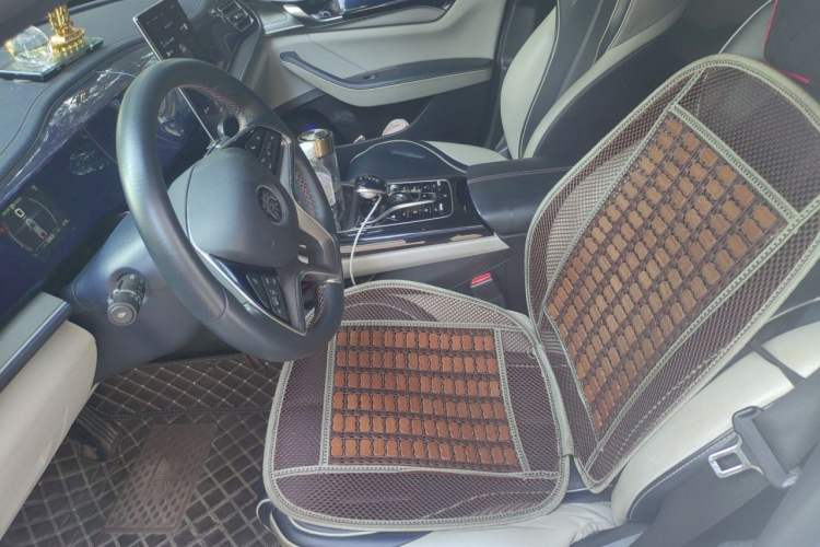 Used BYD Qin PLUS 2021 EV 500KM Luxury Model Left Front Seat