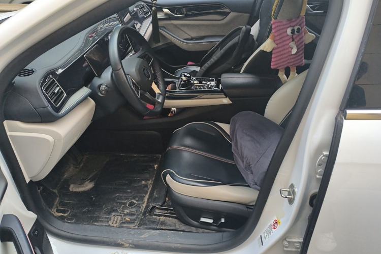 Used BYD Qin PLUS 2021 DM-i 55KM Flagship Model Left Front Seat