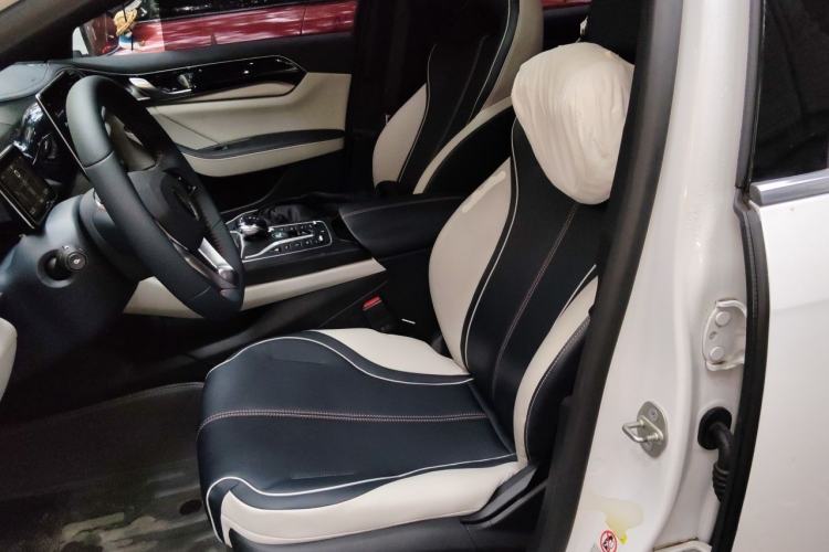 Used BYD Qin PLUS 2021 DM-i 55KM Flagship Model Left Front Seat