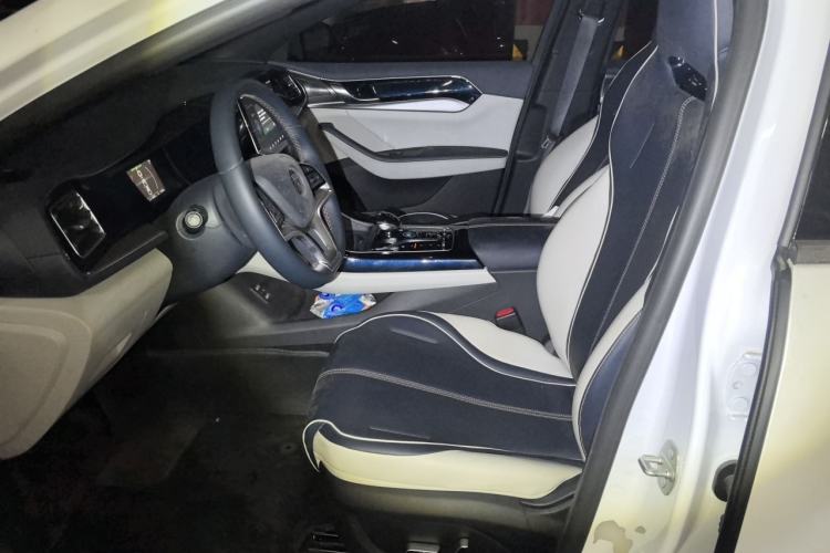 Used BYD Qin PLUS 2021 EV 400KM Luxury Model Left Front Seat