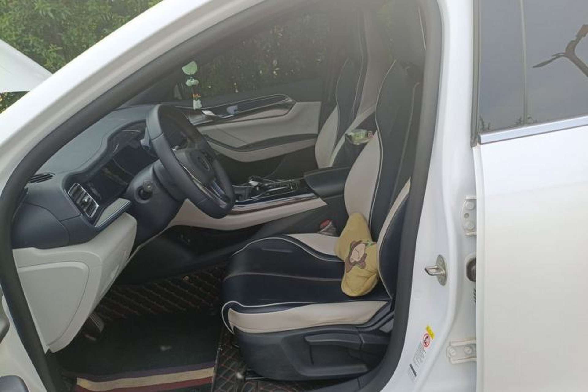 Used BYD Qin PLUS 2021 DM-i 120KM Prestige Model Left Front Seat