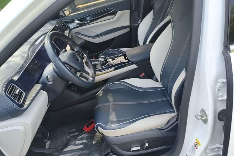Used BYD Qin PLUS 2021 EV 500KM Luxury Model Left Front Seat