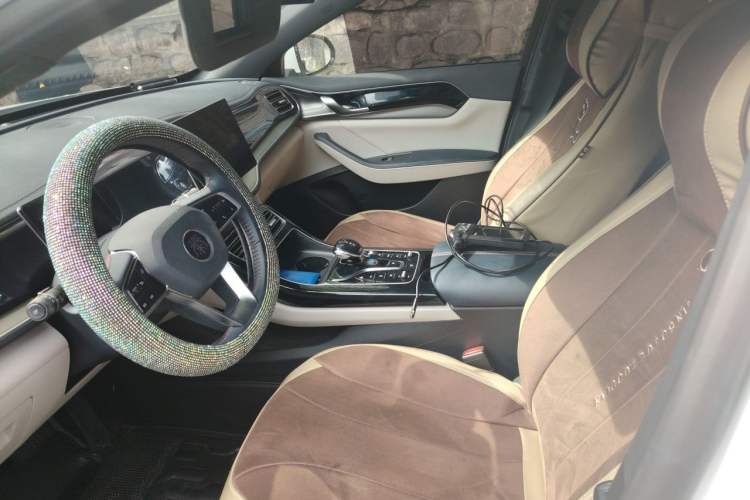 Used BYD Qin PLUS 2021 DM-i 55KM Flagship Model Left Front Seat