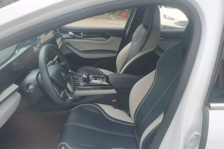 Used BYD Qin PLUS 2021 EV 500KM Premium Model Left Front Seat