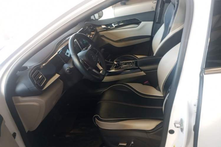 Used BYD Qin PLUS 2021 DM-i 55KM Flagship Model Left Front Seat