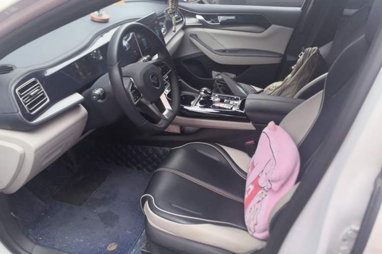 Used BYD Qin PLUS 2021 DM-i 55KM Flagship Model Left Front Seat