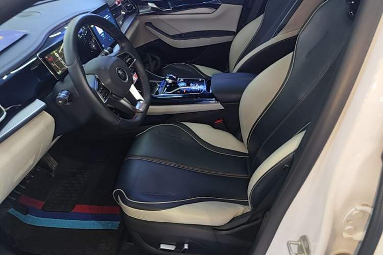 Used BYD Qin PLUS 2021 DM-i 55KM Flagship Model Left Front Seat