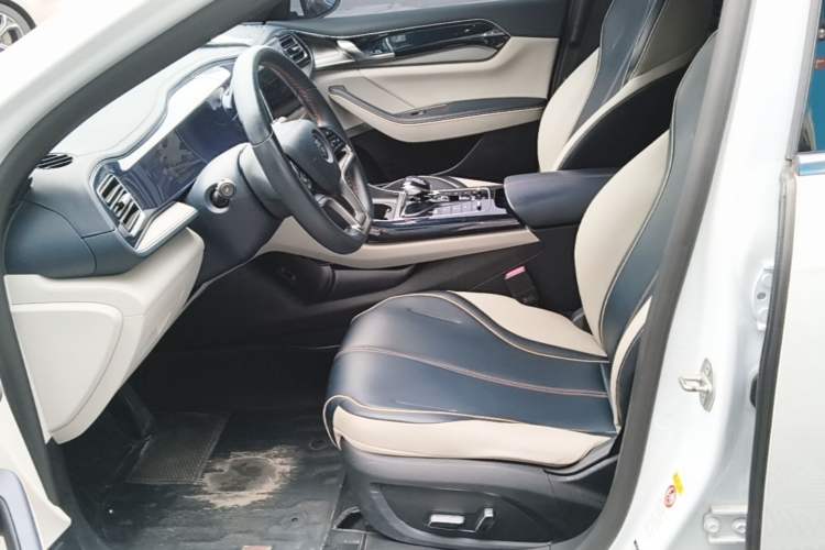 Used BYD Qin PLUS 2021 EV 400KM Luxury Model Left Front Seat