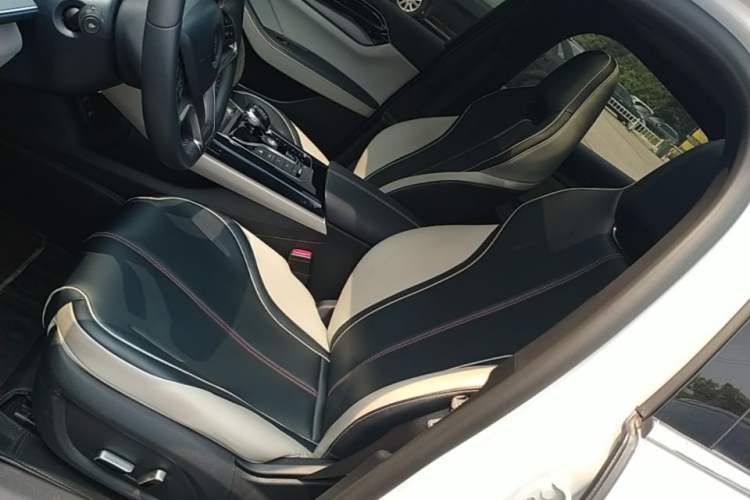 Used BYD Qin PLUS 2021 EV 500KM Premium Model Left Front Seat