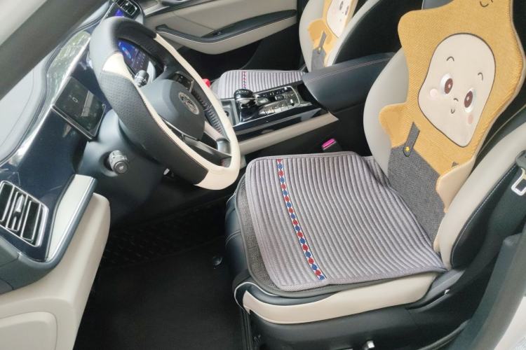 Used BYD Qin PLUS 2021 DM-i 55KM Flagship Model Left Front Seat