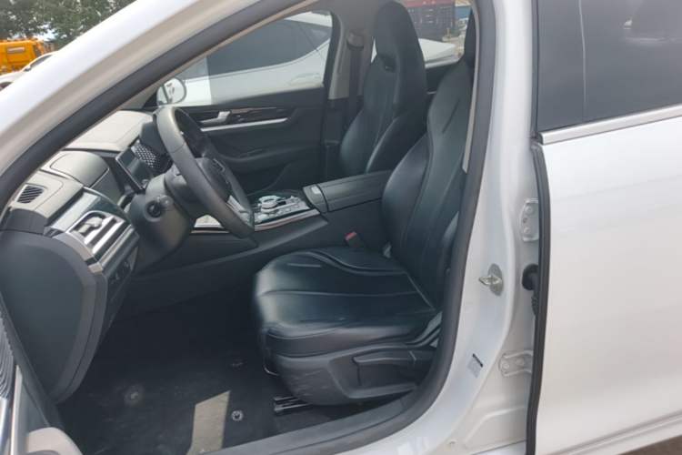 Used BYD Qin PLUS 2021 EV 400KM Leading Comfort Edition Left Front Seat