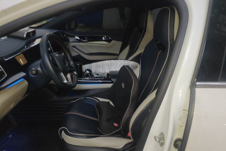 Used BYD Qin PLUS 2021 EV 500KM Luxury Model Left Front Seat