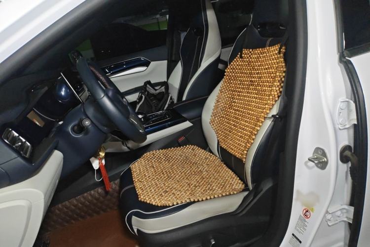 Used BYD Qin PLUS 2021 EV 500KM Luxury Model Left Front Seat