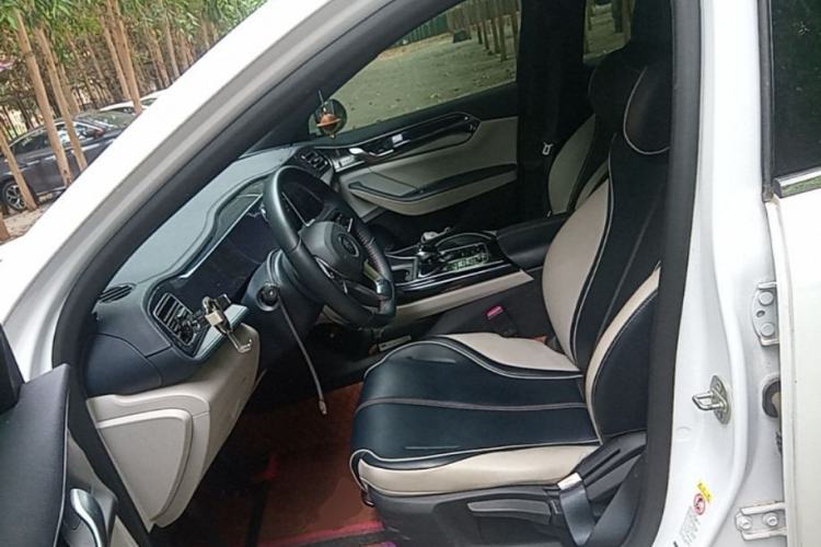 Used BYD Qin PLUS 2021 DM-i 120KM Prestige Model Left Front Seat