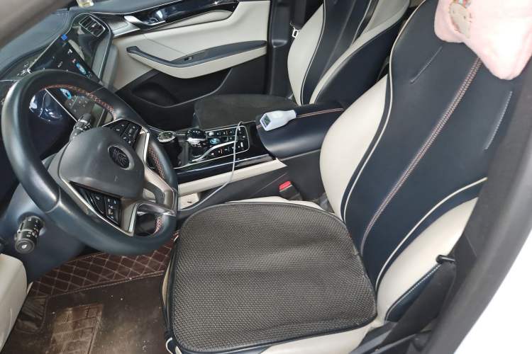 Used BYD Qin PLUS 2021 EV 500KM Luxury Model Left Front Seat